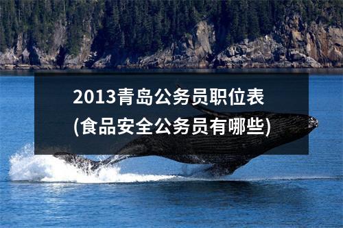 2013青岛公务员职位表(食品安全公务员有哪些)