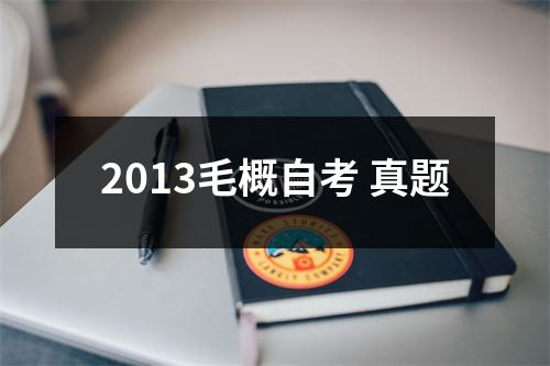 2013毛概自考 真题