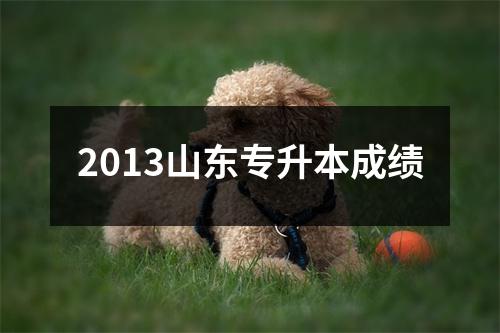 2013山东专升本成绩