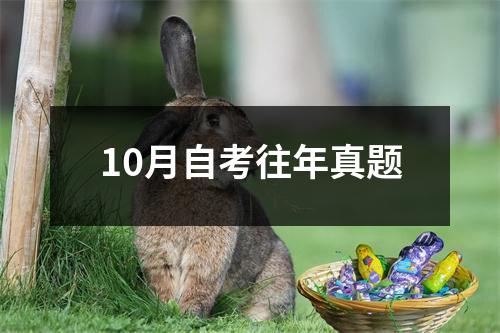 10月自考往年真题