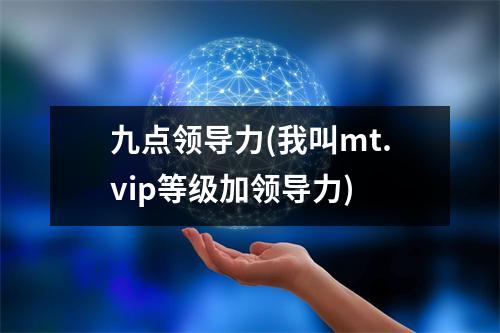 九点领导力(我叫mt.vip等级加领导力)