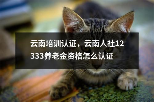 云南培训认证，云南人社12333养老金资格怎么认证