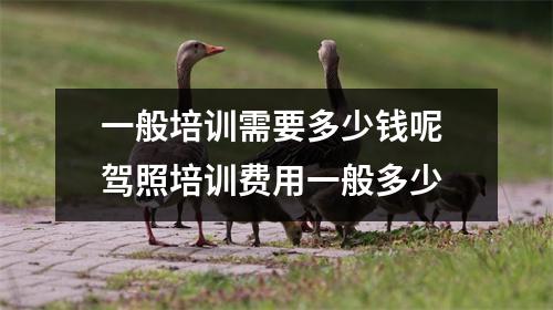 一般培训需要多少钱呢 驾照培训费用一般多少