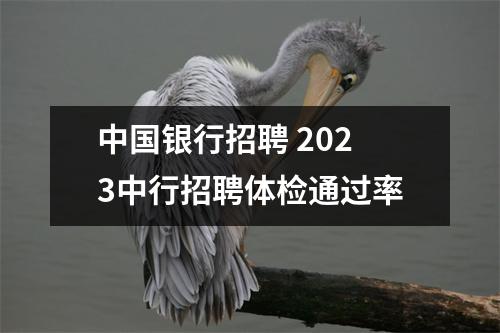 中国银行招聘 2023中行招聘体检通过率