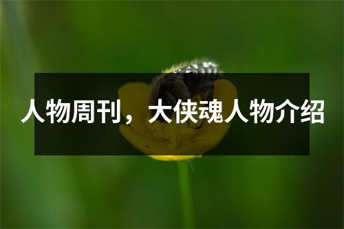 人物周刊，大侠魂人物介绍
