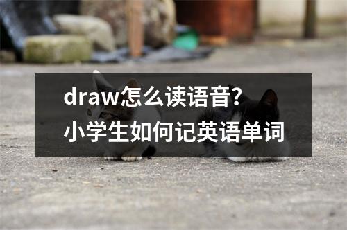 draw怎么读语音？小学生如何记英语单词
