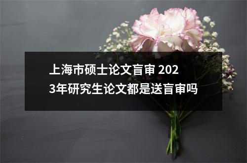 上海市硕士论文盲审 2023年研究生论文都是送盲审吗