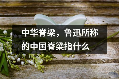 中华脊梁，鲁迅所称的中国脊梁指什么