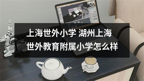 上海世外小学 湖州上海世外教育附属小学怎么样