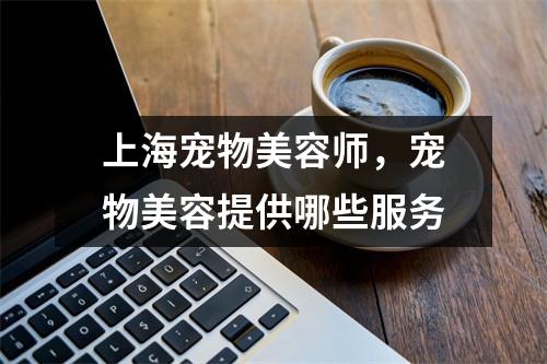 上海宠物美容师，宠物美容提供哪些服务