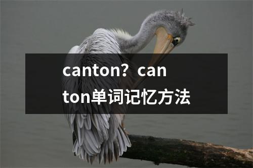 canton？canton单词记忆方法