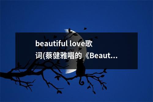 beautiful love歌词(蔡健雅唱的《Beautiful Love》的歌词是什么)