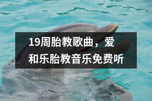 19周胎教歌曲，爱和乐胎教音乐免费听
