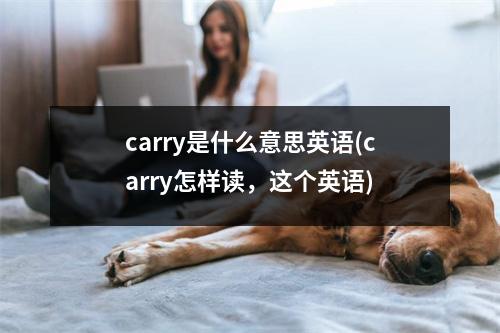 carry是什么意思英语(carry怎样读，这个英语)
