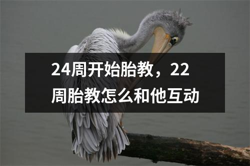 24周开始胎教，22周胎教怎么和他互动