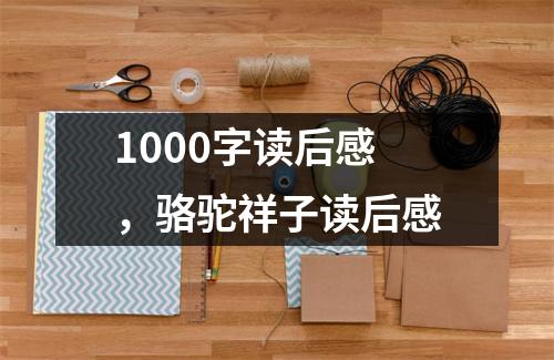 1000字读后感，骆驼祥子读后感