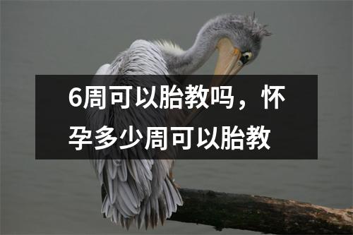 6周可以胎教吗，怀孕多少周可以胎教