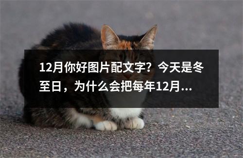 12月你好图片配文字？今天是冬至日，为什么会把每年12月22日定为冬至日有何缘由