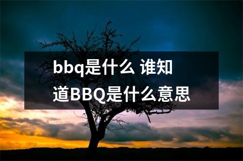 bbq是什么 谁知道BBQ是什么意思