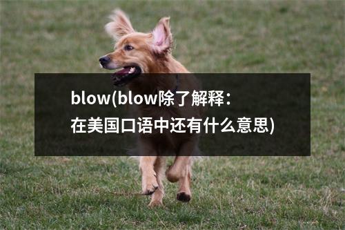 blow(blow除了解释：在美国口语中还有什么意思)