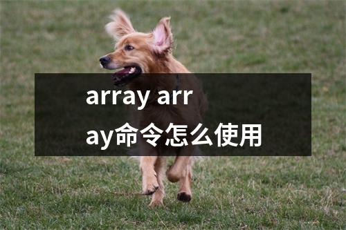 array array命令怎么使用