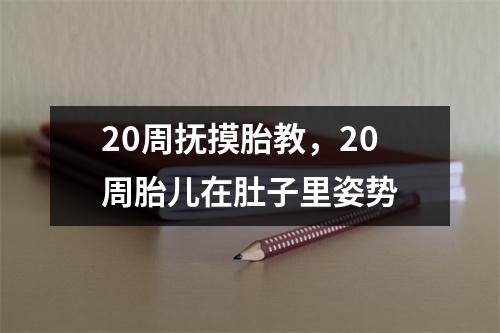 20周抚摸胎教，20周胎儿在肚子里姿势