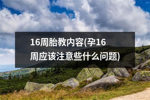 16周胎教内容(孕16周应该注意些什么问题)