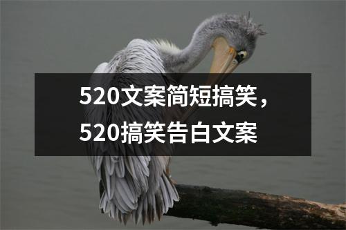 520文案简短搞笑，520搞笑告白文案