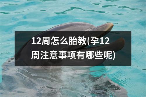 12周怎么胎教(孕12周注意事项有哪些呢)