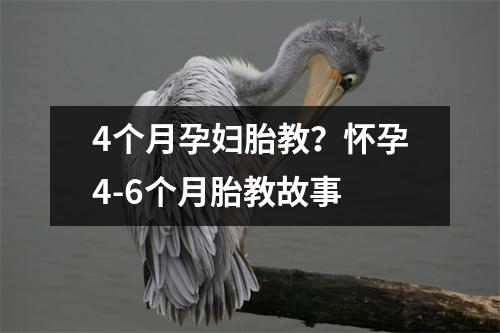 4个月孕妇胎教？怀孕4-6个月胎教故事