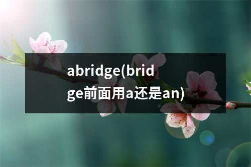 abridge(bridge前面用a还是an)