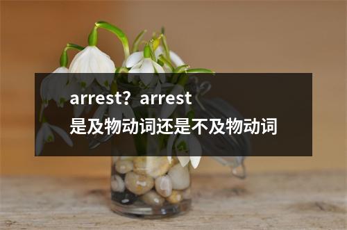 arrest？arrest是及物动词还是不及物动词