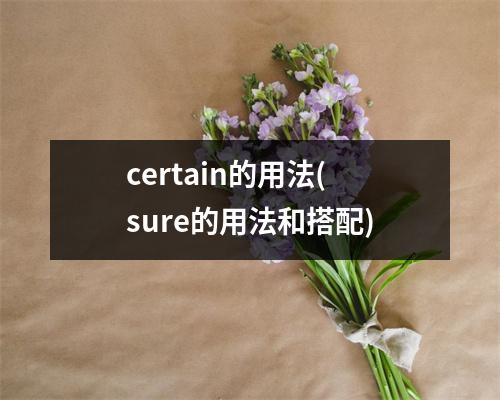 certain的用法(sure的用法和搭配)