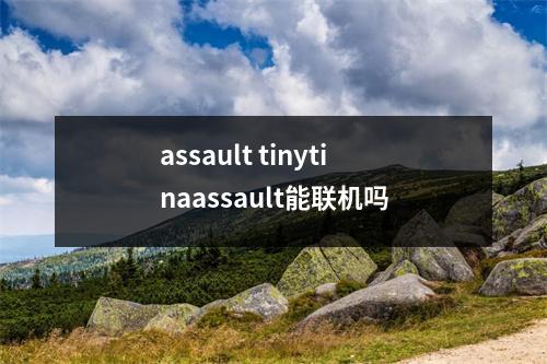 assault tinytinaassault能联机吗