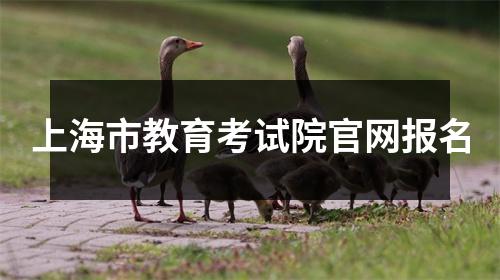 上海市教育考试院官网报名