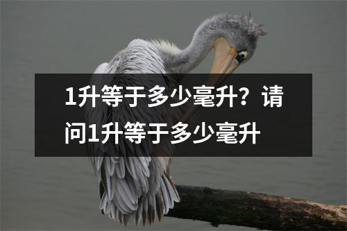 1升等于多少毫升？请问1升等于多少毫升