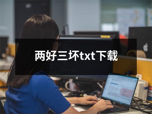 两好三坏txt下载