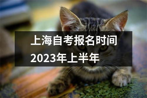 上海自考报名时间2023年上半年