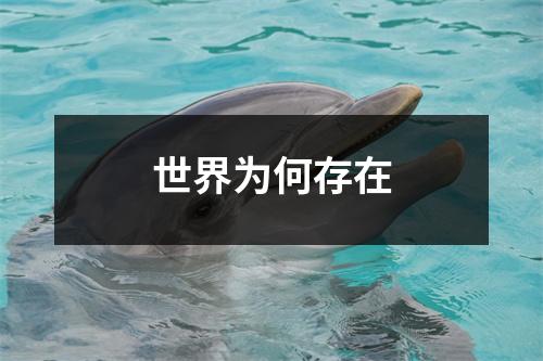世界为何存在