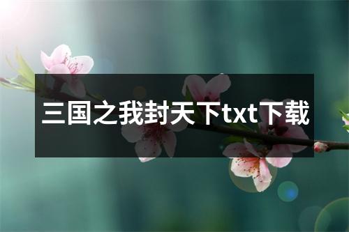 三国之我封天下txt下载