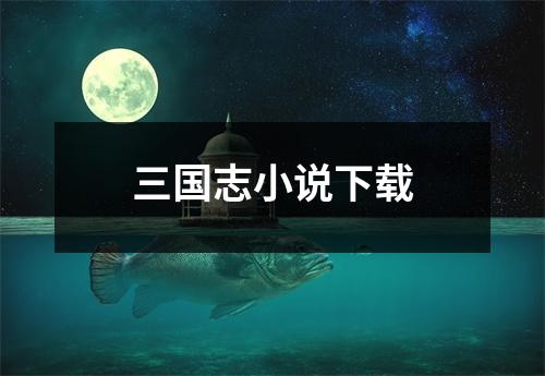 三国志小说下载