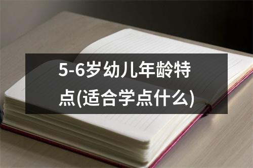 5-6岁幼儿年龄特点(适合学点什么)