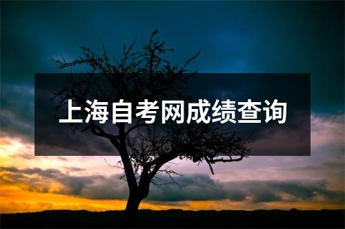 上海自考网成绩查询
