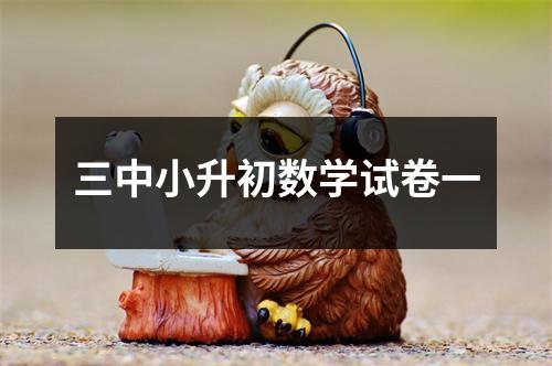 三中小升初数学试卷一
