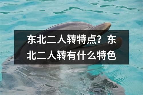 东北二人转特点？东北二人转有什么特色