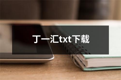丁一汇txt下载