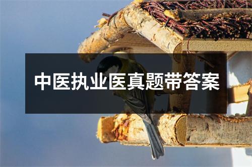 中医执业医真题带答案