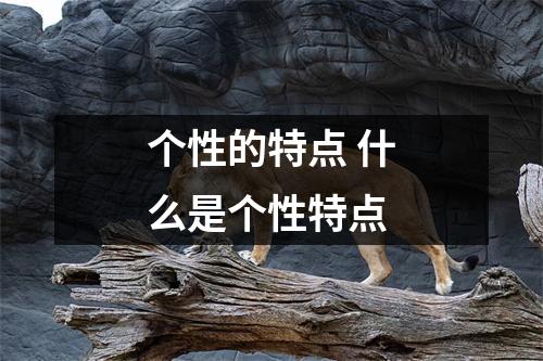 个性的特点 什么是个性特点