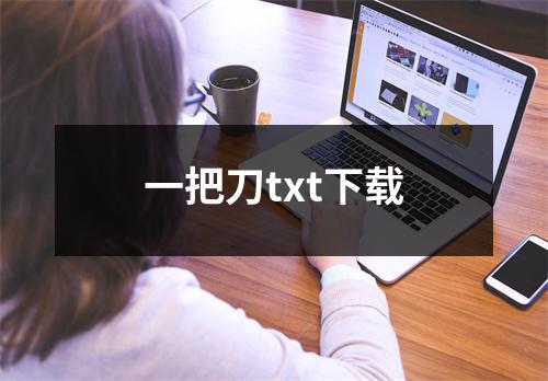 一把刀txt下载
