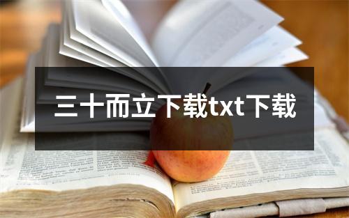 三十而立下载txt下载
